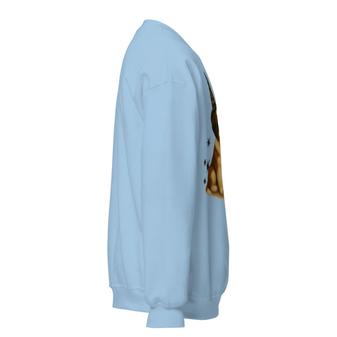 St. Bernard Witchy Dog Sweatshirt
